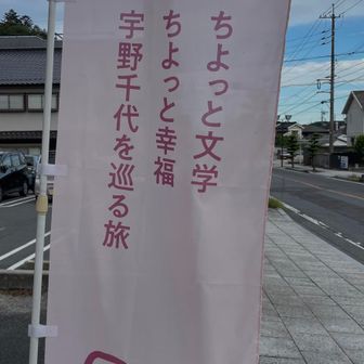 街中お店は千代散歩になってます