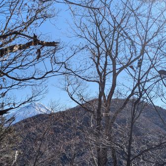 富士山🗻＆蛾ヶ岳！