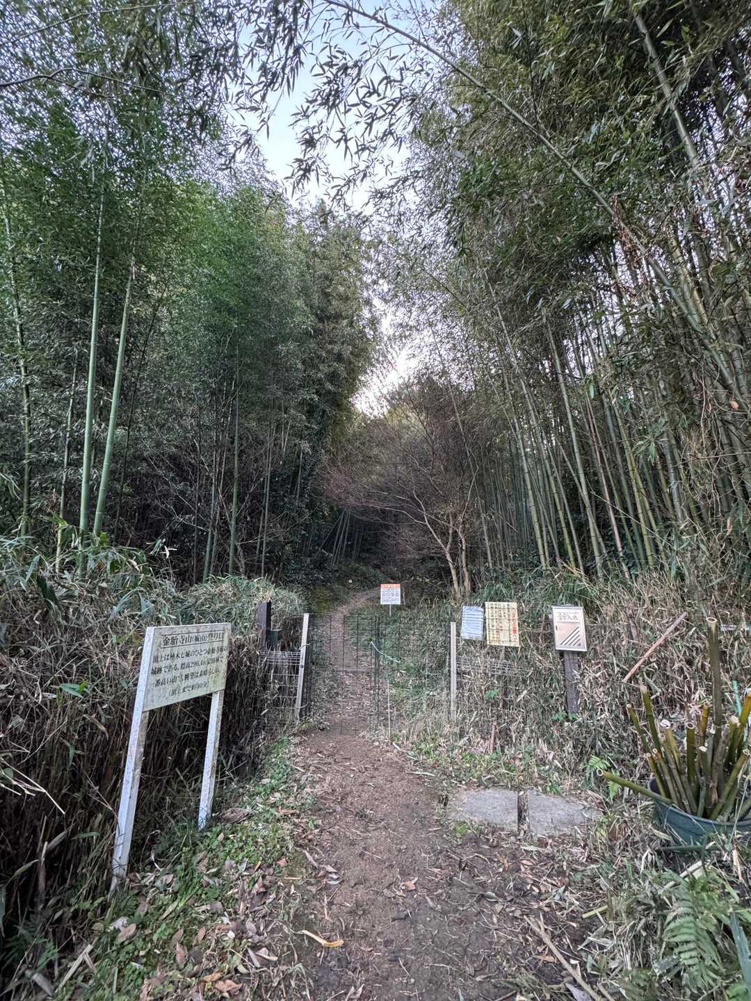 有難うございました。

帰宅して一杯飲んで寝ようかなとか思いつつ、歩いて帰路につきました‥

　　　　　　終わりでは無かった
　　　　　　　　後編に続きます