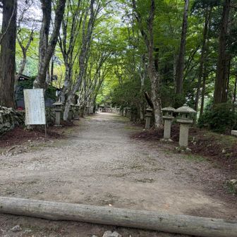 境内ガラガラ