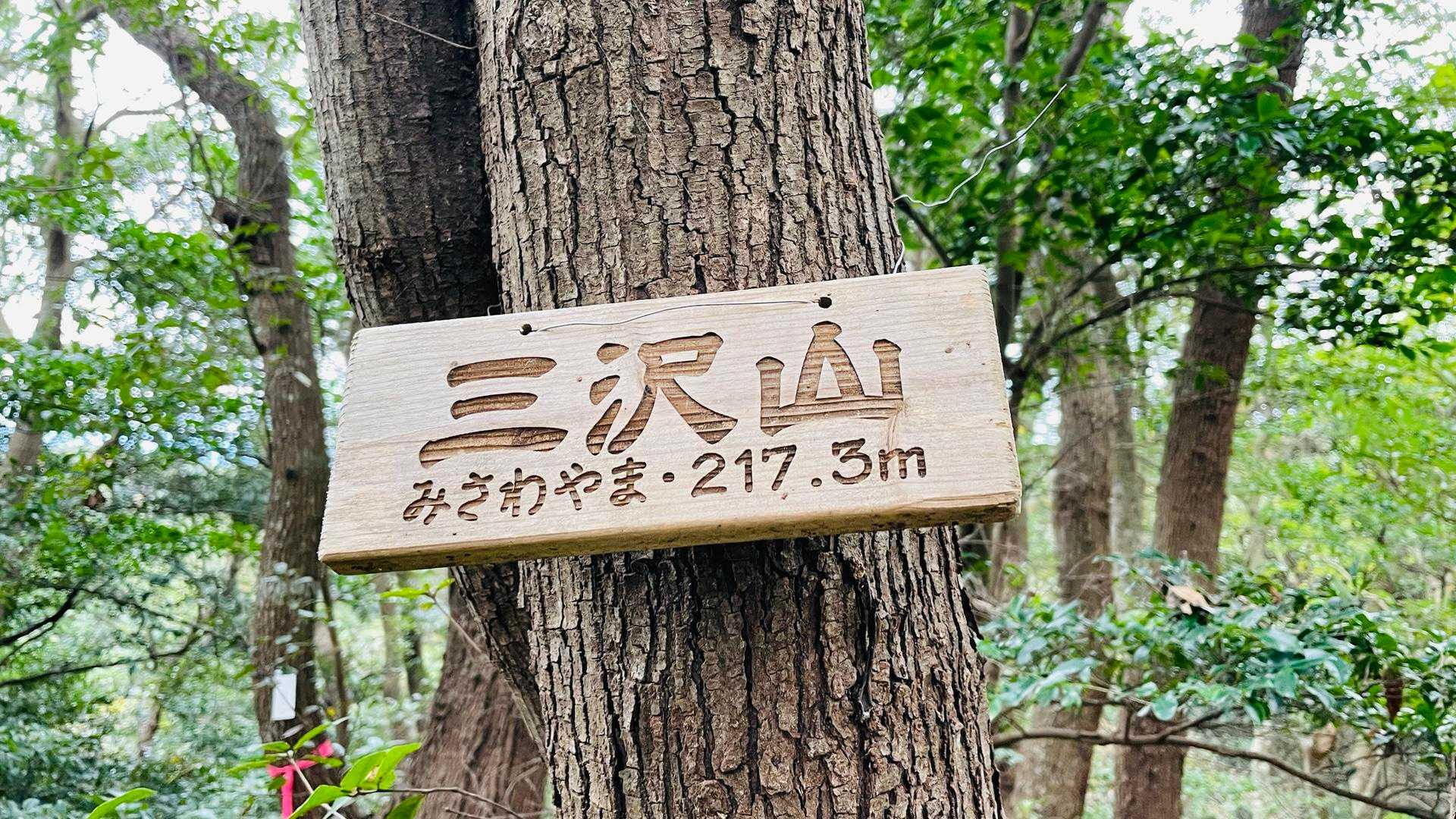 着っ