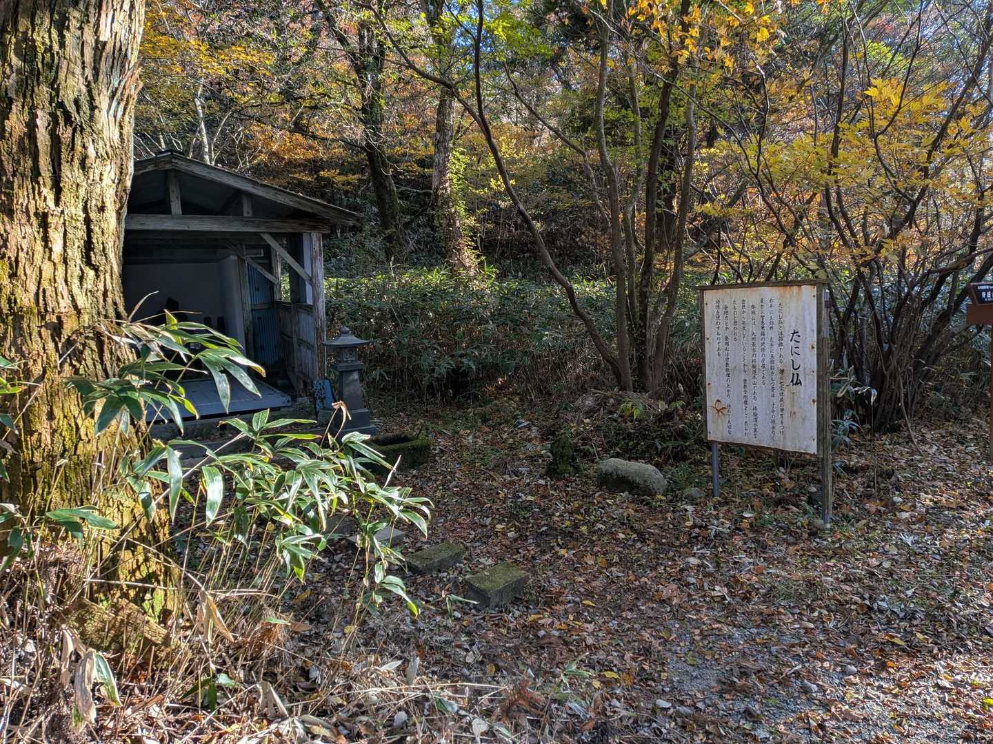 たにし仏さんが左手に鎮座されてる