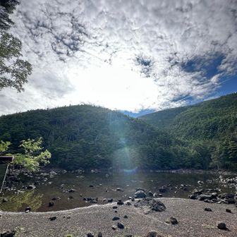 亀甲池　ここら北横岳まで樹林帯の苔むし具合が素敵でした