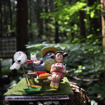 写真撮ってたら腕にトゲトゲした虫？がくっついててギャー！！