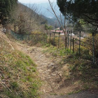 とりあえず先に進みます。