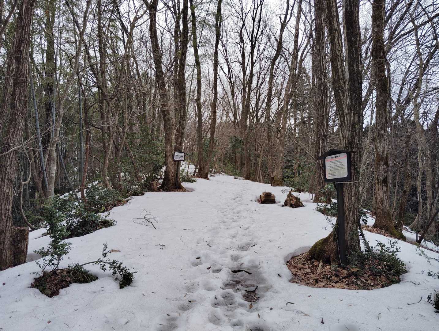 雪少し残ってるけど大したことは無い