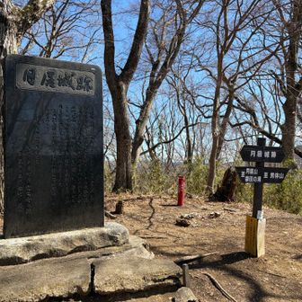 月居山頂到着。さらに奥に三角点。