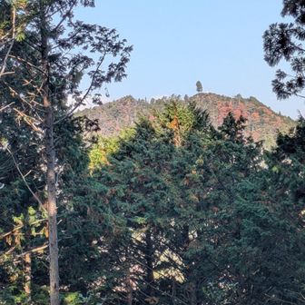 北方向に城山(じょうやま)山頂👀ZOOM
…戻ります🚶
