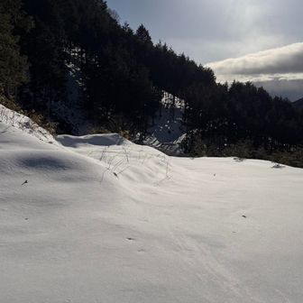 ようやく林道に出たけど、長い長い道が続く💦