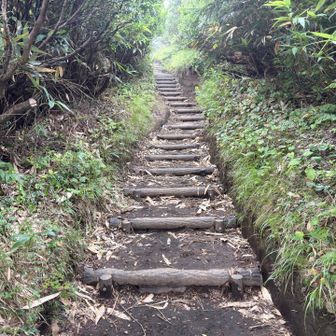 階段って地味にキツいのよ
はぁはぁいいながら登り返し😂