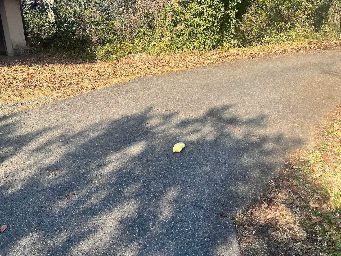 けっこうすぐ見つかりました。