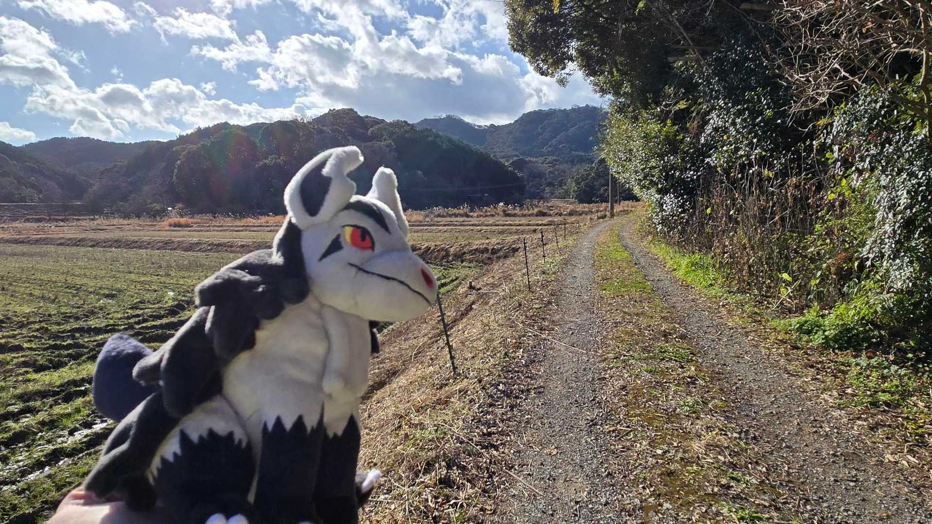 大谷登山口-馬ヶ岳 往復コースの写真
