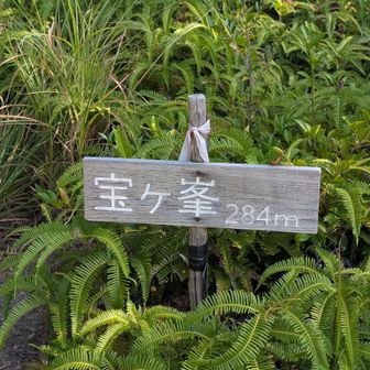 山頂では景色が見られないけど、すぐ先に風の丘があります