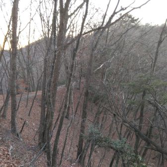 冬の明るい尾根道歩く幸せ