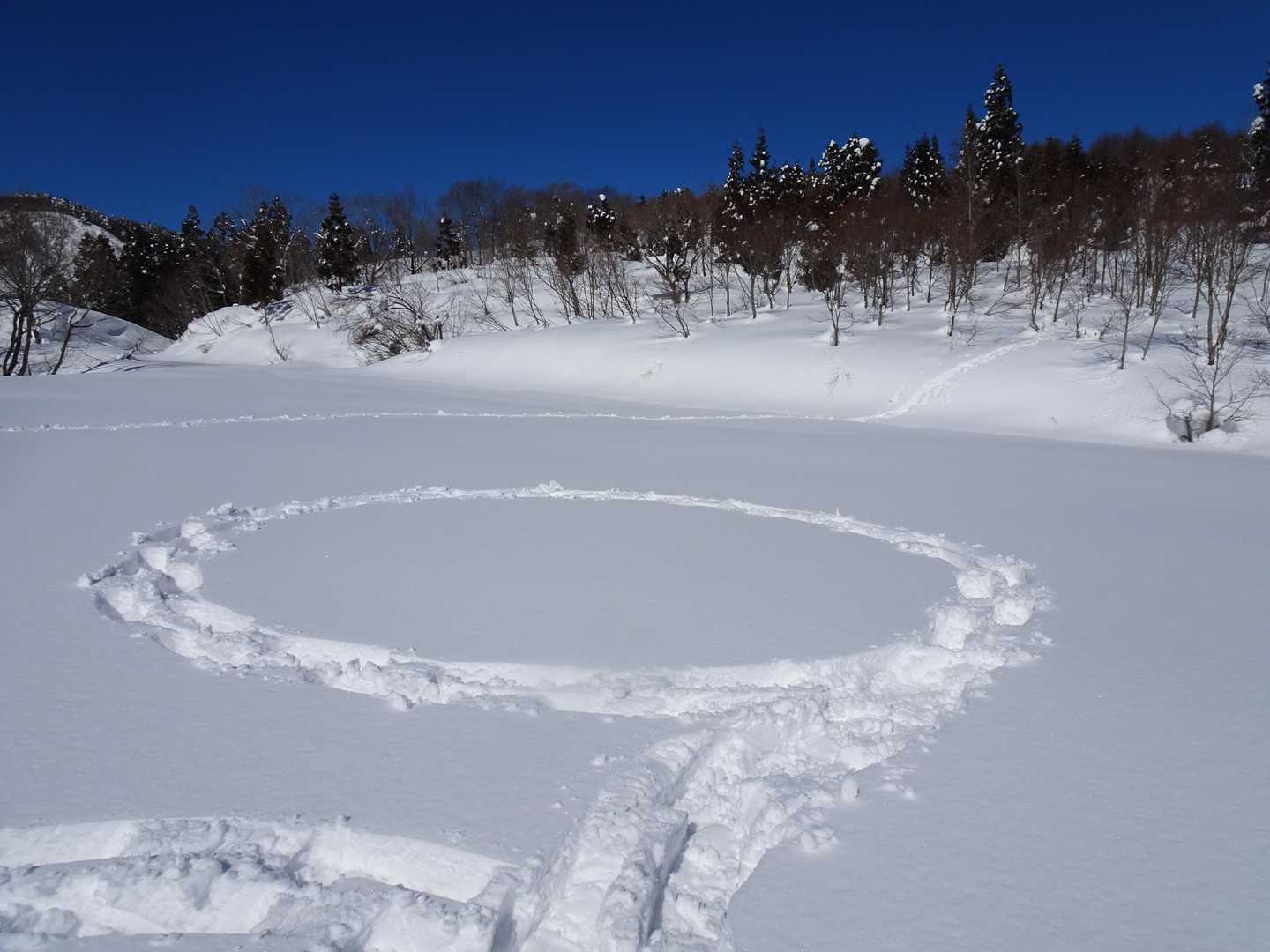 傍らではツレがミステリーサークル？を書いていました。