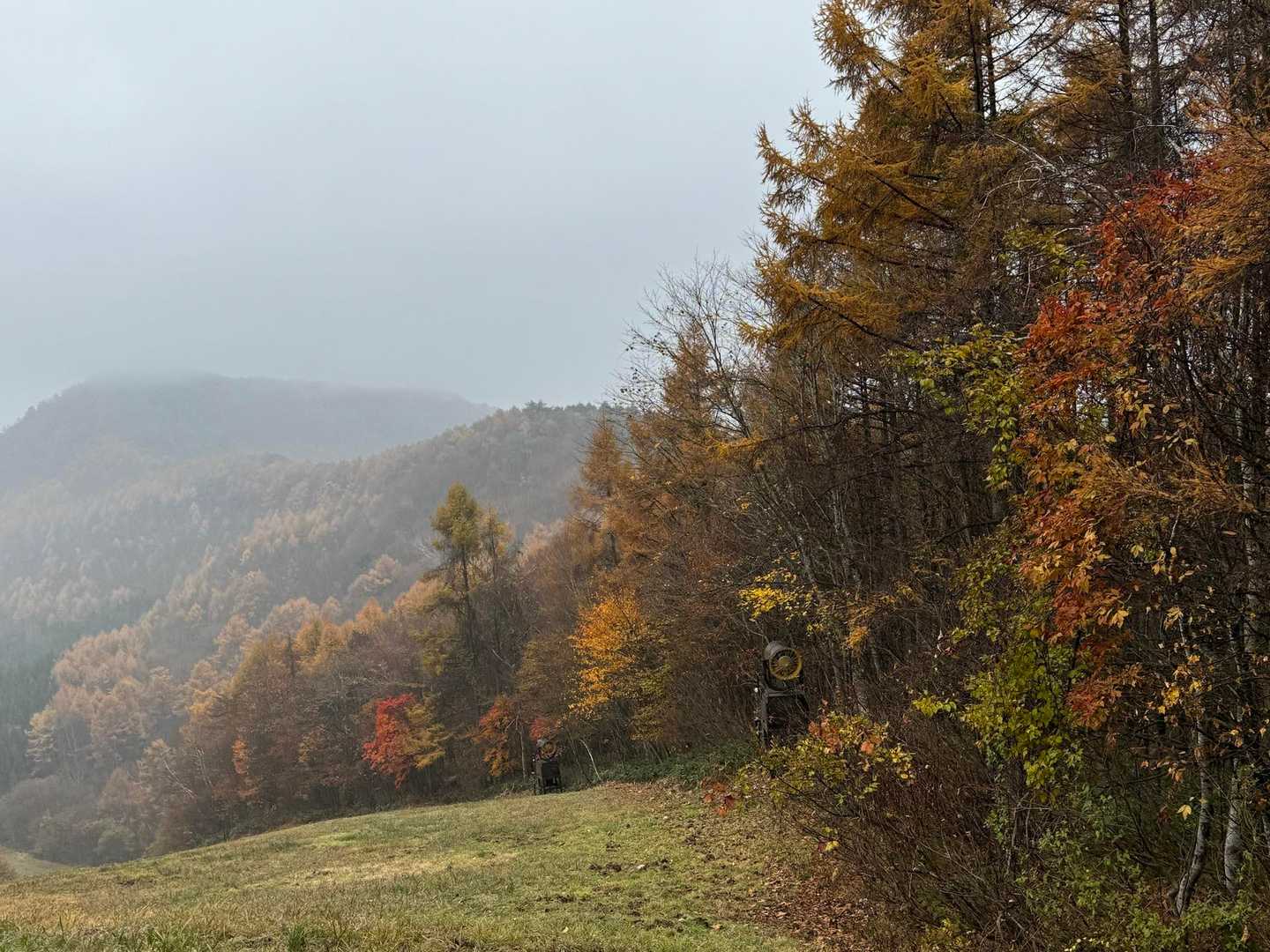 ポツポツ雨に降られながら
スキー場のルートを通って下山です

遠征もいいけれど
地元ぐんまの山々を
もっと歩いて知ってみたいなと思いました✨