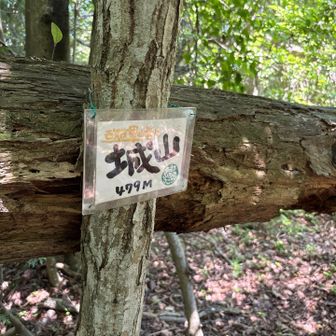 本日の第2座城山をピークゲットしてから、昼食予定の「山の家はせがわ」へ