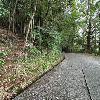 四国八十八ヶ所への分岐
下山に歩き、ここに降り立ったこと有り…♬