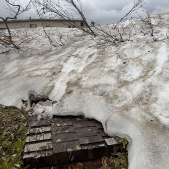 ここから木道は雪の中
気をつけていきましょう
