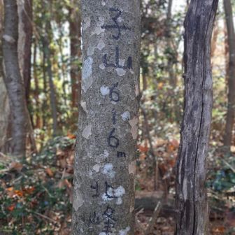 
引き返して本日最後のピーク双子山