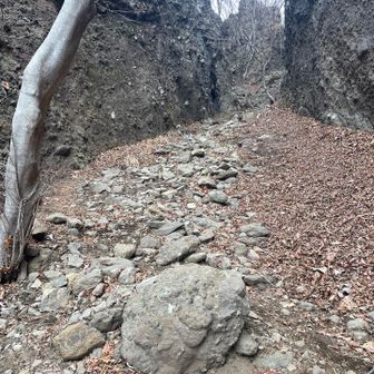 ここをまっすぐ進んでヘアピンカーブします！