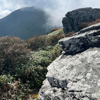 祠の前で松山から来られた方と談笑、愛媛の山について色々教えて頂きました、有難うございました、今日は一緒に登って来たワンちゃんと丸山荘でテン泊だそうです、ウラヤマシイ。
そのうちガスも晴れてきて、時間は二時半、ナイトハイクを覚悟して長い帰路につきマス。