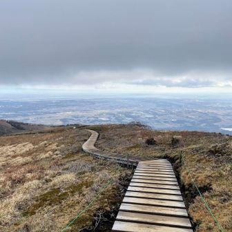 青空だったらもっと映えただろうけど…
贅沢は敵