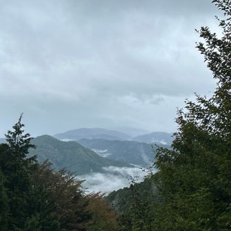雲海が綺麗〜👏✨