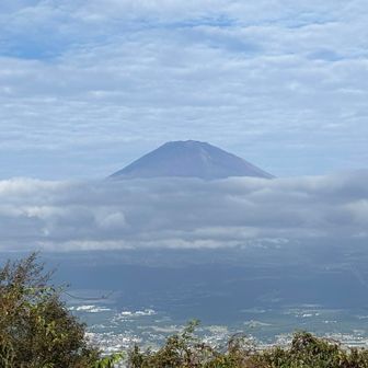 ただ、当時の足柄山では
それほど不自然なことではなかった

森の奥で熊に会った
