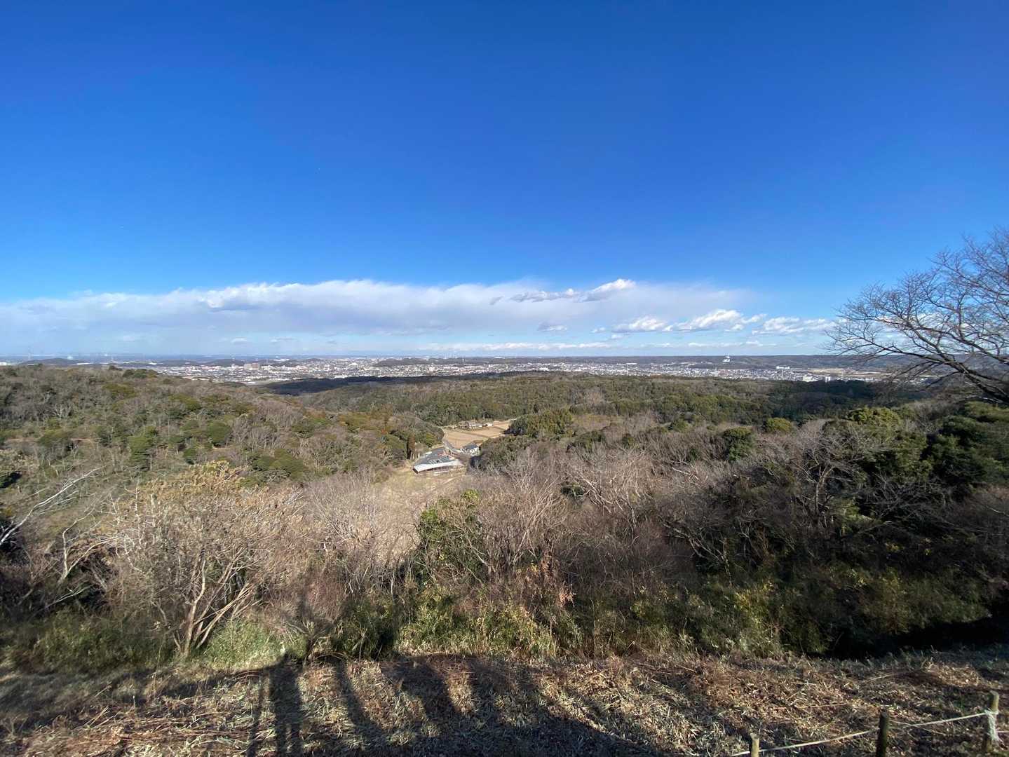 展望台からの眺望