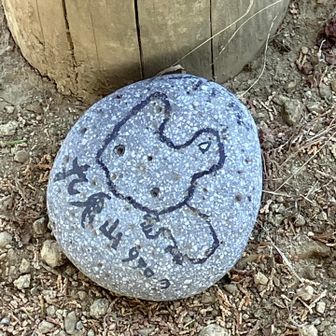 謎の山頂石。カワイイが、、、何者？