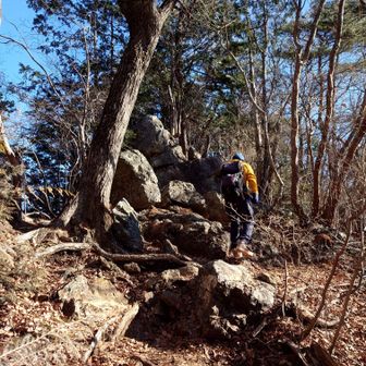 スイスイ歩いて行かれます☺️