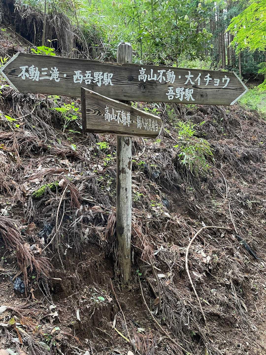 私たちが目指すのは下の段に書いてある
<高山不動尊・関八州見晴台>方面です🖕