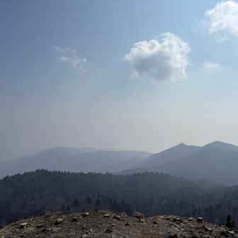 武奈ヶ岳から
春霞で奥の景色は見えないけど霞んだ比良山地もカッコいいなー(*´◒`*)