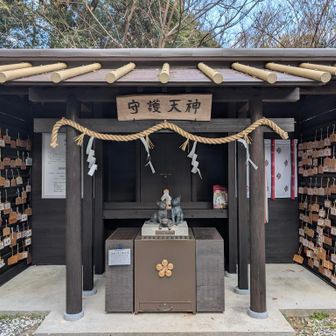 少ない参拝者でしたが、素通り。