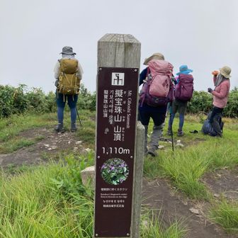 擬宝珠山　春にはカタクリが咲くらしい？