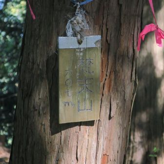細かく登って下りてを繰り返します