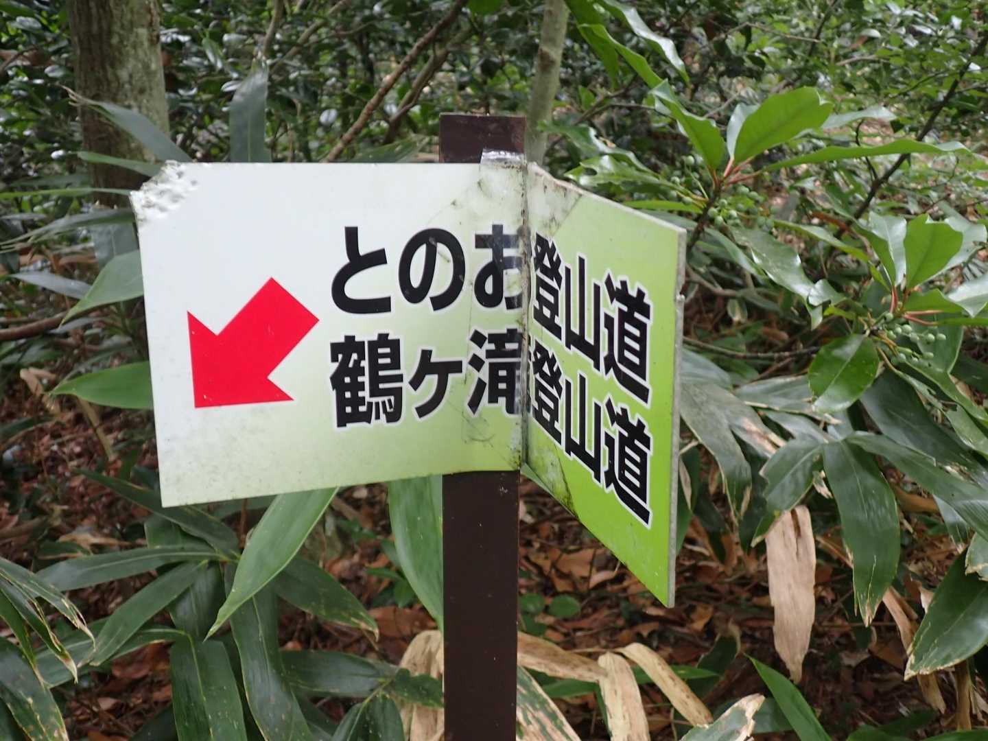 ここから下山しました。