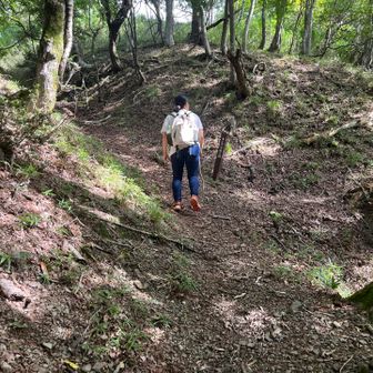 登りだけどゆるやかで快適♪