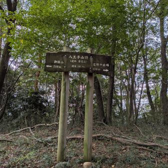 八王子山・通称雷電山
ここが鹿田山
名前在り過ぎ🤨