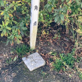 二等三角点「灰ケ峰」
標高＝736.99 m