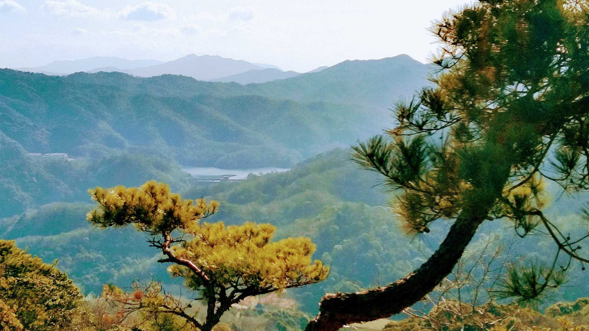 山頂からの景色です✨