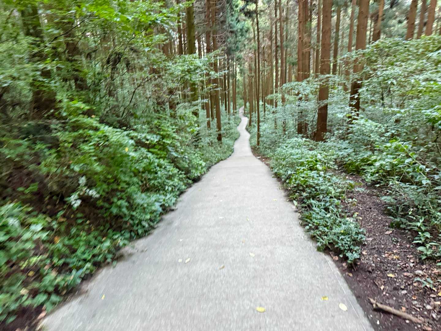 今日も安全に山登りができました。
感謝です。