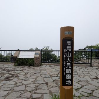 頂上に到着しましたが、予想通りガスで何も見えません。