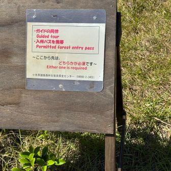 御蔵島同様、ガイド無しでは入山不可の山や
エリアが父島にはありますのでご注意を！