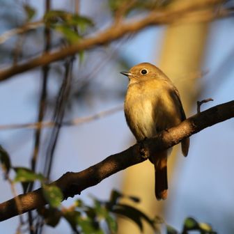 トイレ前のジョビ子さん✨