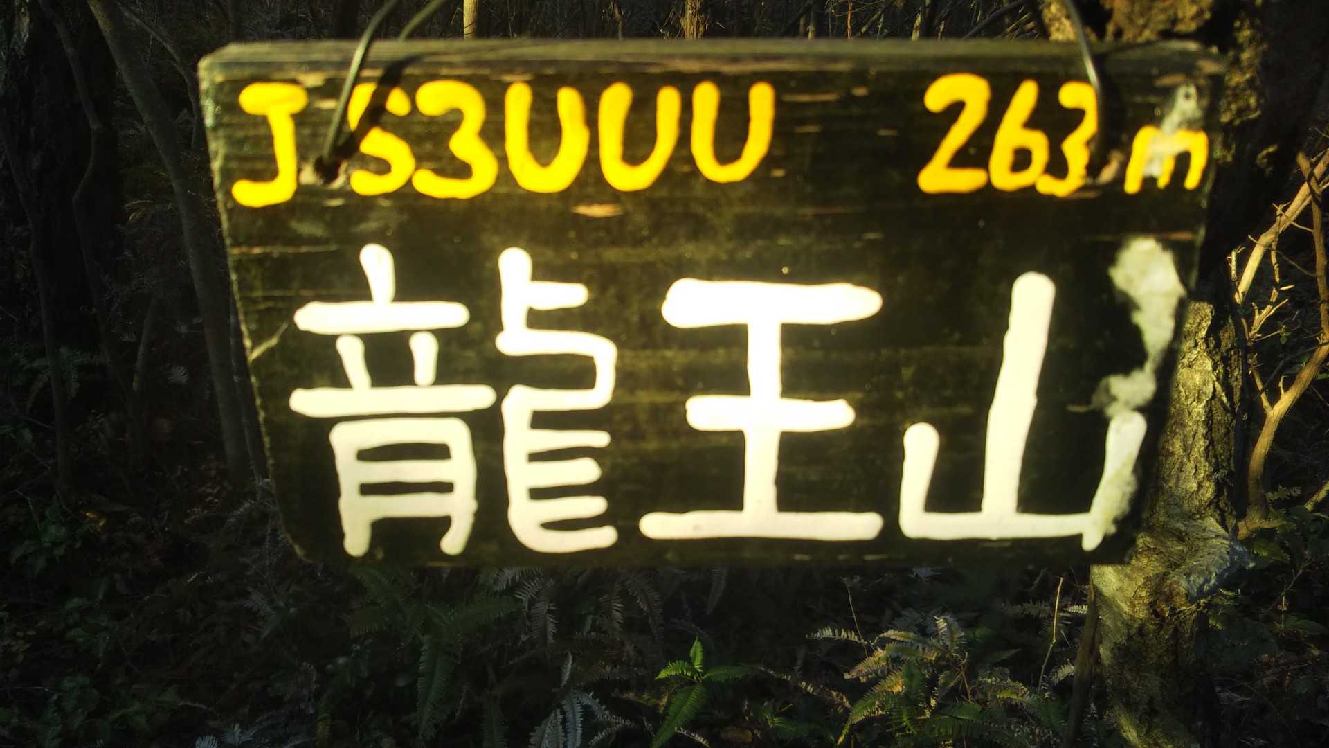 展望無し😰