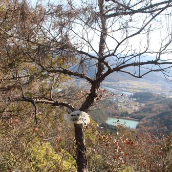 神ノ上方に向かいます