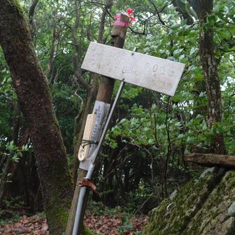 901ｍ
ここで昼食休憩