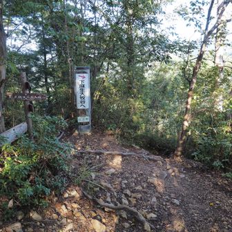 🪧初級・中級コースの分岐を右へ↘️
中級コースを降りて行きます。